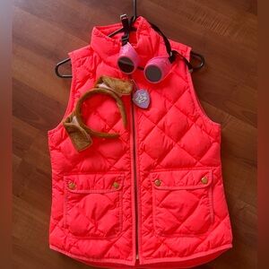 DIY Paw Patrol Sky Costume